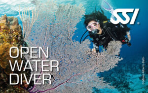 openwater
