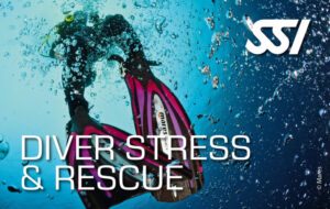 stress rescue