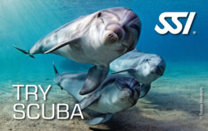 tryscuba